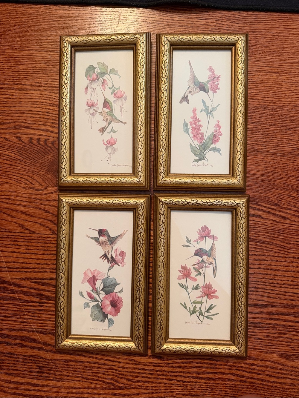 Set of Four Gold-Framed Hummingbird Botanical Prints in Pink and Green
